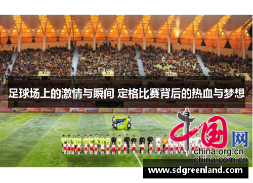 足球场上的激情与瞬间 定格比赛背后的热血与梦想